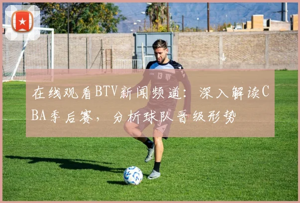 在线观看BTV新闻频道：深入解读CBA季后赛，分析球队晋级形势